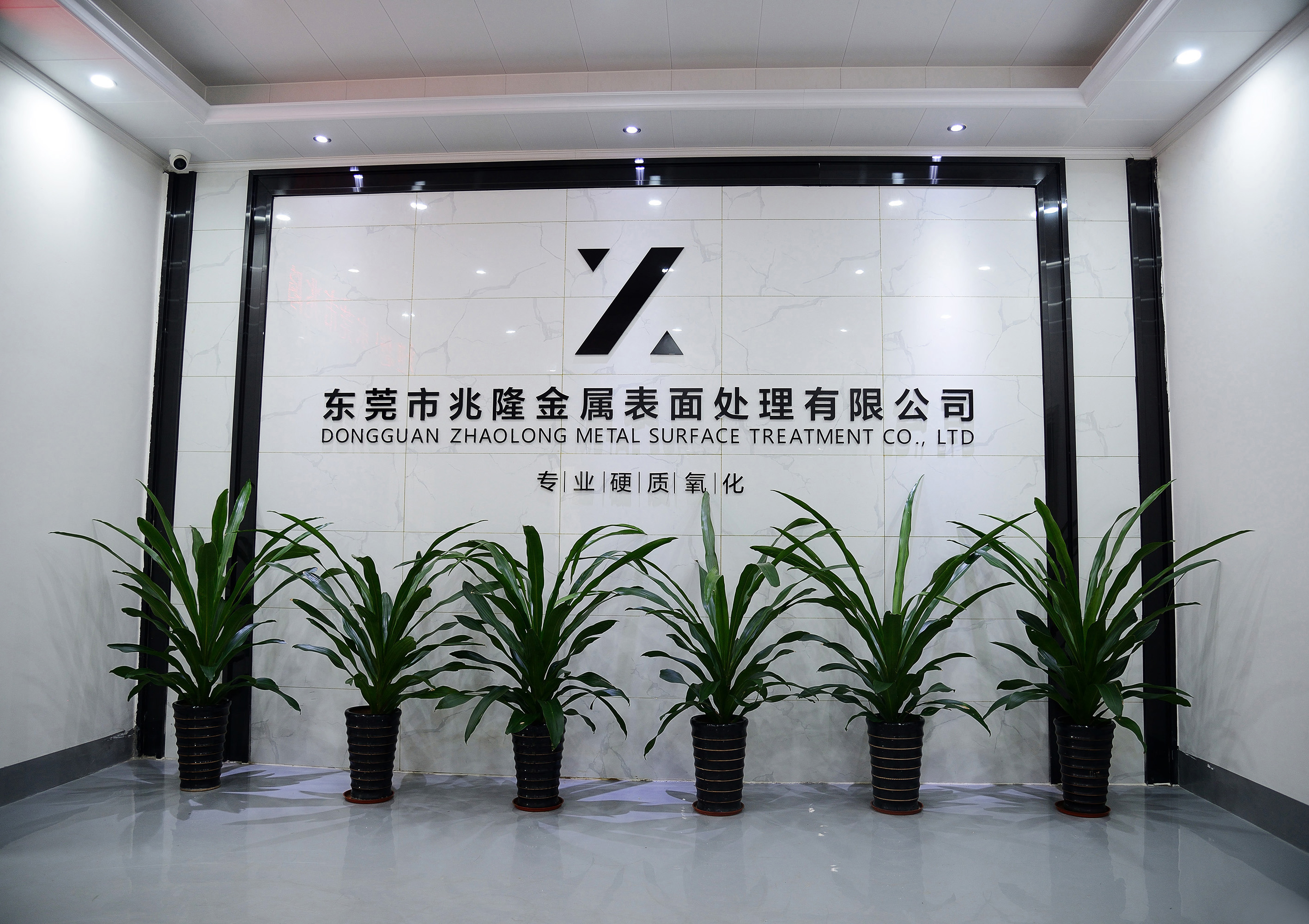 东莞市兆隆金属表面处理有限公司